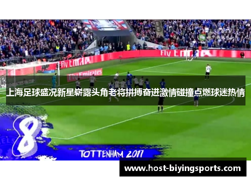 上海足球盛况新星崭露头角老将拼搏奋进激情碰撞点燃球迷热情