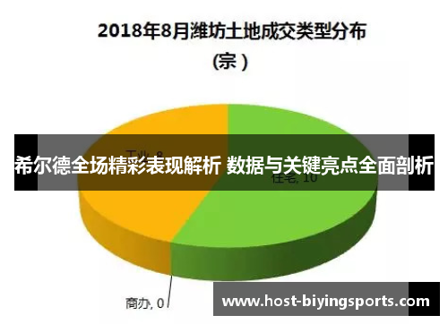 希尔德全场精彩表现解析 数据与关键亮点全面剖析