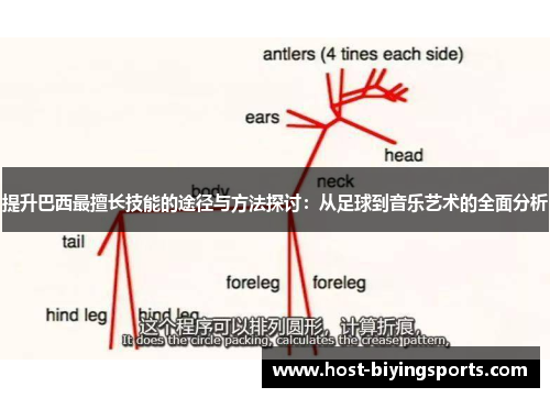 提升巴西最擅长技能的途径与方法探讨：从足球到音乐艺术的全面分析