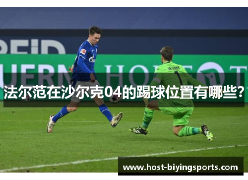 法尔范在沙尔克04的踢球位置有哪些？
